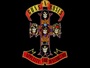 Guns N' Roses profile picture