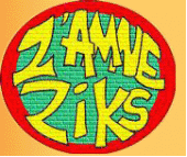 Les Zâ€™AmnÃ©â€™Ziks profile picture