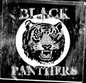 Black Panthers profile picture