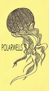 polarwells profile picture