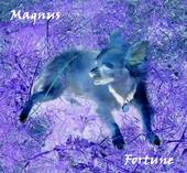 Magnus Fortune profile picture
