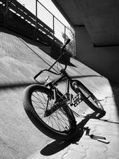 Bmx Scene Bern profile picture