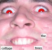 The Cottage Trees profile picture