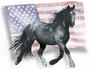 American Wild Horse Preservation Campaign profile picture