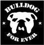 O.G BULLDOG profile picture