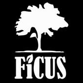 Ficus profile picture