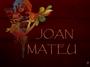 Joan Mateu profile picture
