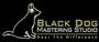 Black Dog Mastering Studio profile picture