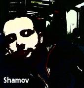 SHAMOV profile picture