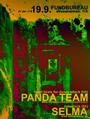 Panda Team profile picture