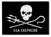 Sea Shepherd profile picture
