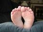 softSoles profile picture