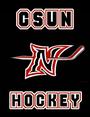 csunHockey profile picture