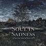 Soul in Sadness (ZwischenWelt out now) profile picture