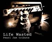 LIFE WASTED: The Pearl Jam tribute (searching gig) profile picture