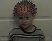 Preston profile picture