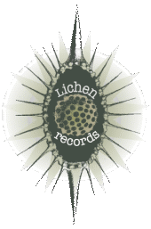 lichen records electronic sounds profile picture