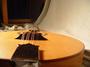 Olde Woods Lutherie profile picture