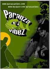 paranza vibes profile picture