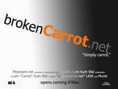 Carrot Lam profile picture