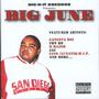 B.I.G.JUNE THE OFFICIAL SHOW BOOKINGS PAGE profile picture