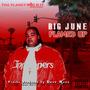 B.I.G.JUNE THE OFFICIAL SHOW BOOKINGS PAGE profile picture