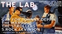 THE LAB...from s.rock levinson. profile picture