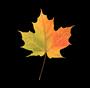 Whitechapel profile picture