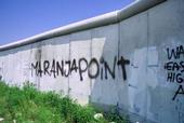 Maranjapoint profile picture