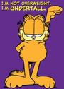 Garfield profile picture