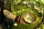 Anahata Sacred Sound Current profile picture