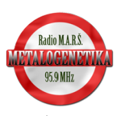 metalogenetica