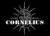 CORNELIUS - NEW SONGS ONLINE!!! profile picture