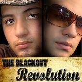 The Blackout Revolution Video Page profile picture