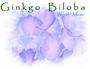 Ginkgo Biloba World Music profile picture