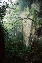 Funeral In Heaven - Sri Lankan Hela Black Metal profile picture