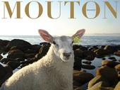 mouton mazette ! profile picture