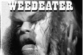 Weedeater profile picture