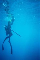 Diveaholics_Anonymous profile picture