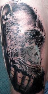 Electroline Tattoo Studio profile picture