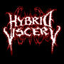 Hybrid Viscery profile picture