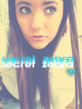 secret zebra. profile picture