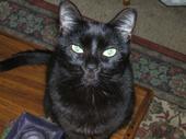 Jazzy's Jupiter profile picture