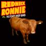 Redneck Ronnie & The STONED SHEEP BAND profile picture