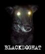 BlackDogHat profile picture