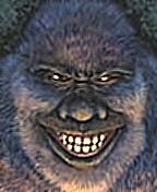 FAT YETI profile picture