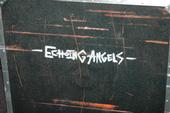 Echoing Angels profile picture