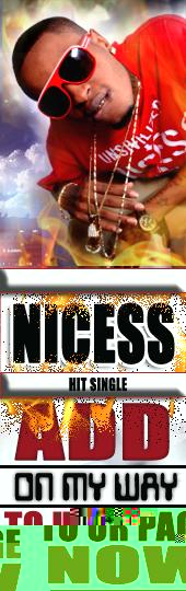 HEAVYALITY RECORDS/DOWNLOAD NICES MIXTAPE FOR FREE profile picture