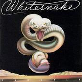 Whitesnake Trouble Tributo profile picture