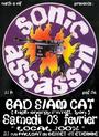 BAD SIAM CAT (CD OUT NOW !) profile picture